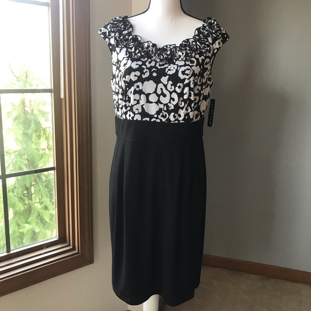 NWT!  Black & White Dress w/Beautiful Ruffled Collar
